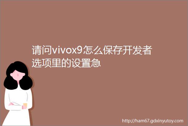 请问vivox9怎么保存开发者选项里的设置急